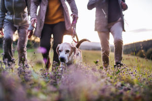 Five Ways to Reignite Your Energy
