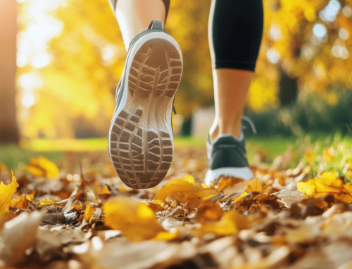 Autumn Moves: Why Movement Is Everything (Even When You’d Rather Hibernate)
