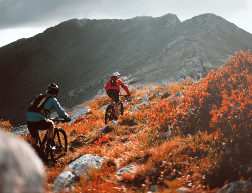 Autumn Health Boost: Everyday Activities to Lift Your Mood and Mobility